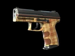 Coach Class - CS2 Skin Prices