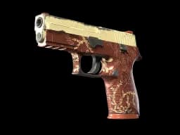 P250 | Red Tide (Well-Worn)