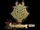 Sticker | G2 Esports (Gold) | Shanghai 2024 CS2 skin