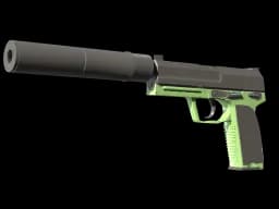 USP-S | Para Green CS2 skin