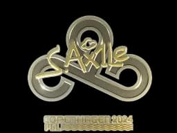 Ax1Le - CS2 Skin Prices