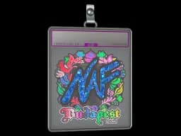 Sticker Slab | NAF (Holo) | Budapest 2025