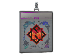 Sticker Slab | Nemiga (Holo) | Austin 2025