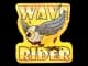 Sticker | Fools Gold Wave Rider CS2 skin