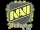 Sticker | Natus Vincere | Budapest 2025 CS2 skin