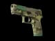 P250 | Boreal Forest CS2 skin