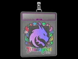 Sticker Slab | Team Spirit (Holo) | Budapest 2025