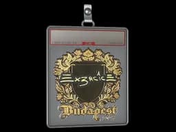 Sticker Slab | Ex3rcice (Gold) | Budapest 2025