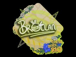 BrollanRio 2022 - CS2 Skin Prices