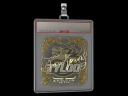 Sticker Slab | JamYoung (Gold) | Austin 2025