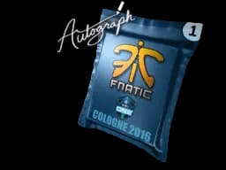 Fnatic - CS2 Skin Prices