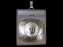 Sticker Slab | Metizport (Foil) | Austin 2025