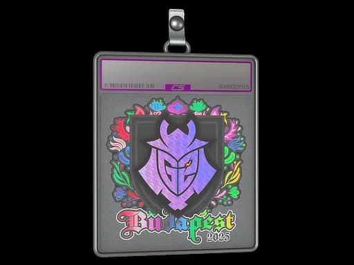 Sticker Slab | G2 esports (Holo) | Budapest 2025