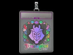 Sticker Slab | G2 esports (Holo) | Budapest 2025