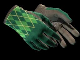 ★ Driver Gloves | Hand Sweaters (Field-Tested)