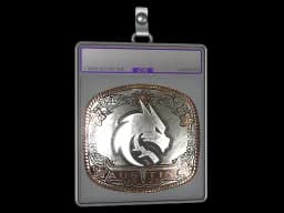 Sticker Slab | Team Spirit (Foil) | Austin 2025