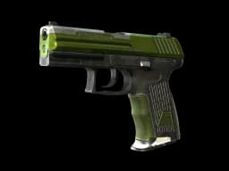 P2000 | Turf CS2 skin