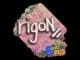 Sticker | rigoN | Rio 2022 CS2 skin