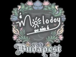 Sticker | molodoy | Budapest 2025