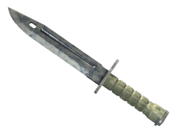 ★ Bayonet | Stained (Well-Worn)