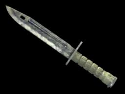 ★ StatTrak™ Bayonet | Stained (Battle-Scarred)