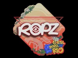 ropzRio 2022 - CS2 Skin Prices