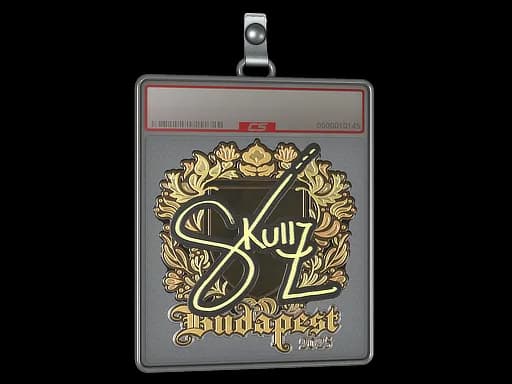 Sticker Slab | skullz (Gold) | Budapest 2025