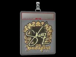 Sticker Slab | skullz (Gold) | Budapest 2025