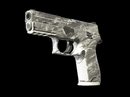 P250 | Sleet (Well-Worn)