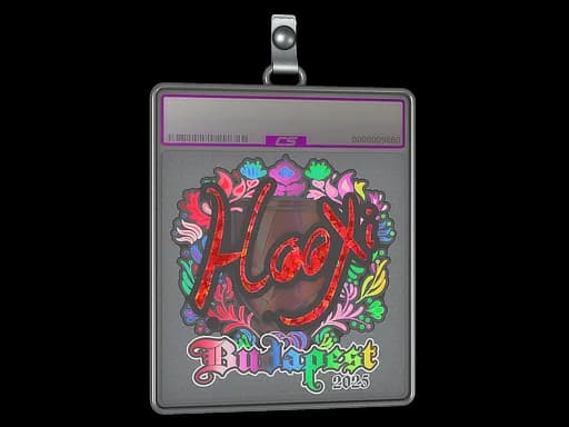 Sticker Slab | HooXi (Holo) | Budapest 2025