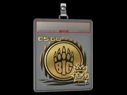 Sticker Slab | BIG (Gold) | 2020 RMR