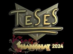 TeSeS - CS2 Skin Prices