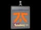 Sticker Slab | Fnatic | Shanghai 2024 CS2 skin