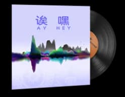 StatTrak™ Music Kit | Perfect World, Ay Hey