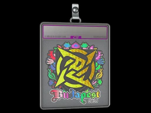 Sticker Slab | Ninjas in Pyjamas (Holo) | Budapest 2025