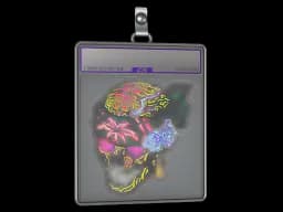 Sticker Slab | Lorena (Holo)