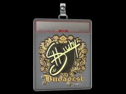 Sticker Slab | siuhy (Gold) | Budapest 2025