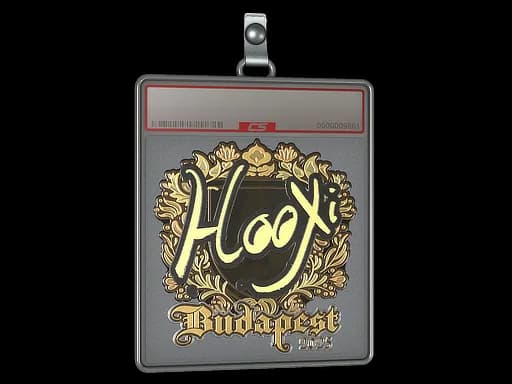 Sticker Slab | HooXi (Gold) | Budapest 2025