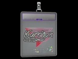 Sticker Slab | karrigan (Glitter) | Antwerp 2022