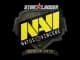 Sticker | Natus Vincere | Berlin 2019 CS2 skin