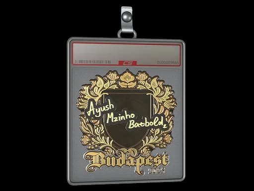 Sticker Slab | mzinho (Gold) | Budapest 2025