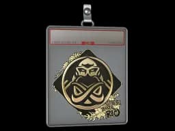 Sticker Slab | ENCE (Gold) | Rio 2022