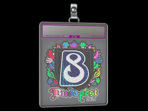 Sticker Slab | B8 (Holo) | Budapest 2025