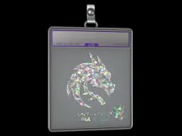 Sticker Slab | Team Spirit (Glitter) | Antwerp 2022