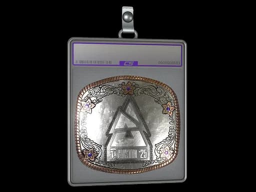 Sticker Slab | BLAST.tv (Foil) | Austin 2025