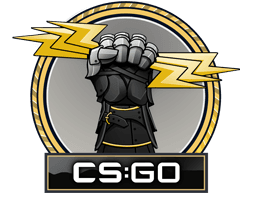 The Glove Collection - CS2 Collection Prices