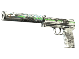 Souvenir USP-S | Road Rash (Minimal Wear)