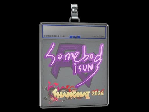 Sticker Slab | somebody | Shanghai 2024