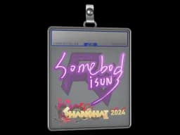 Sticker Slab | somebody | Shanghai 2024