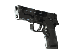 P250 | Metallic DDPAT (Factory New)